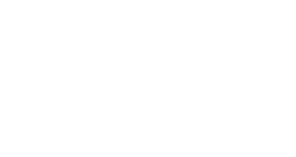 Arcaido